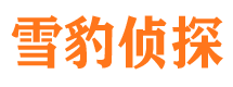 新田私人调查